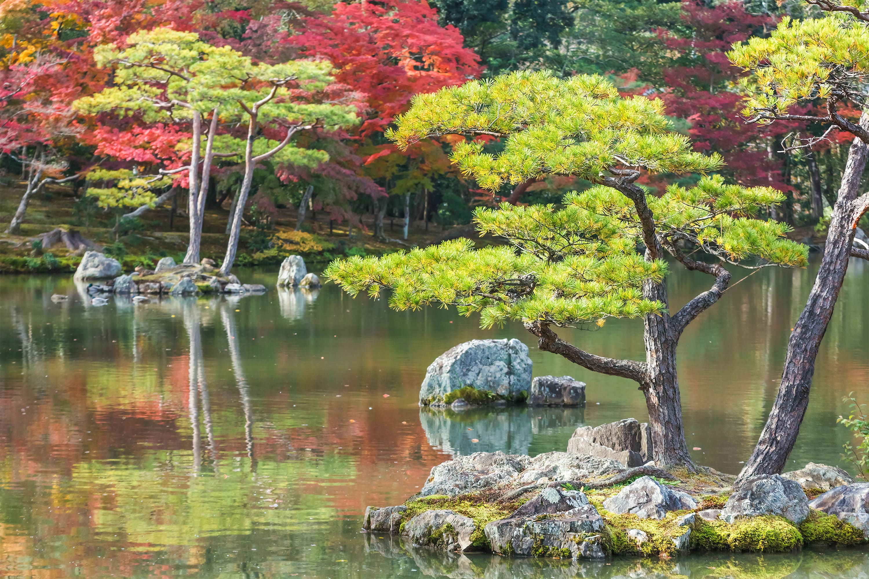 shutterstock_204951793-min.jpg