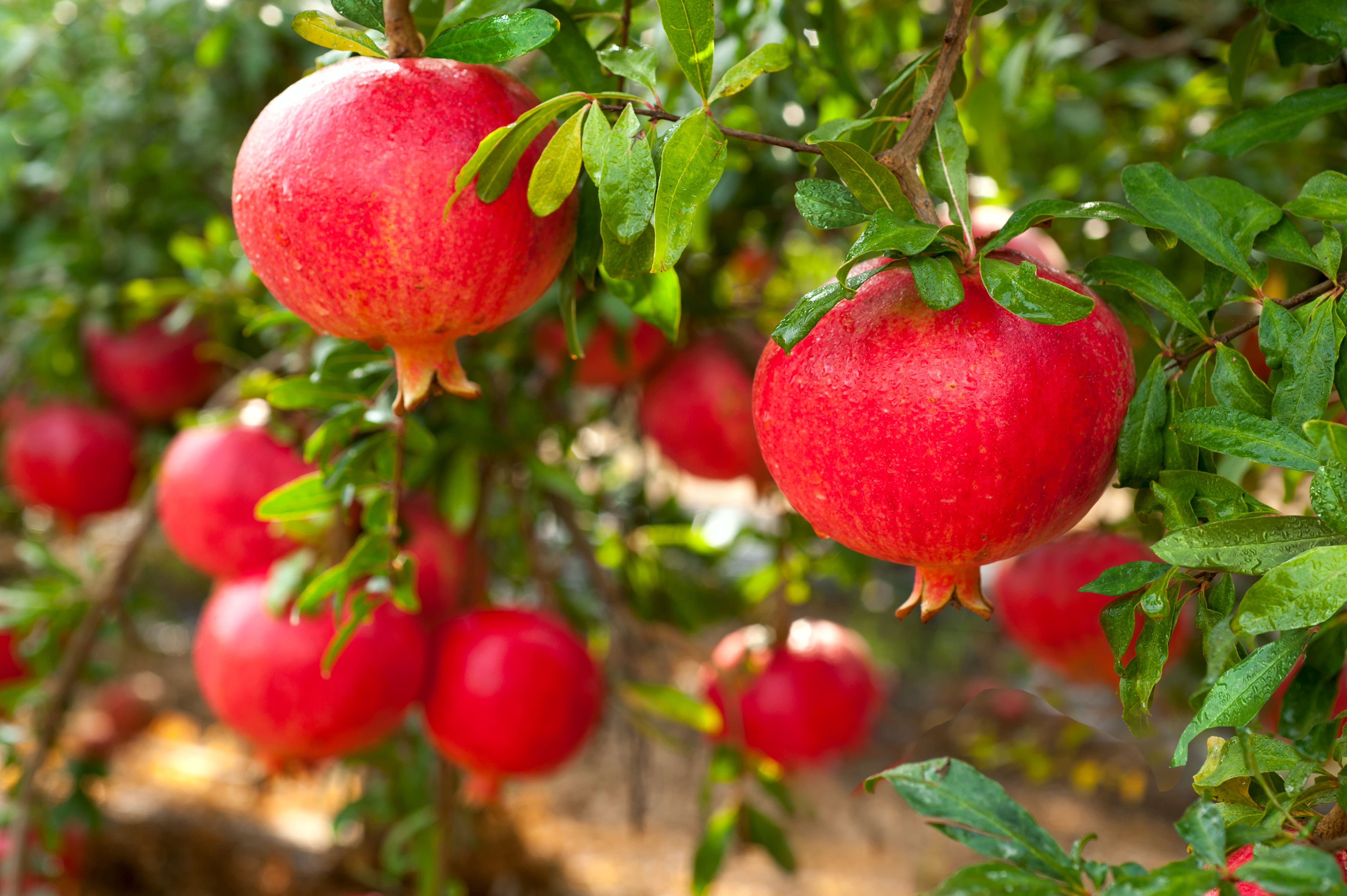 shutterstock_291445157-min.jpg