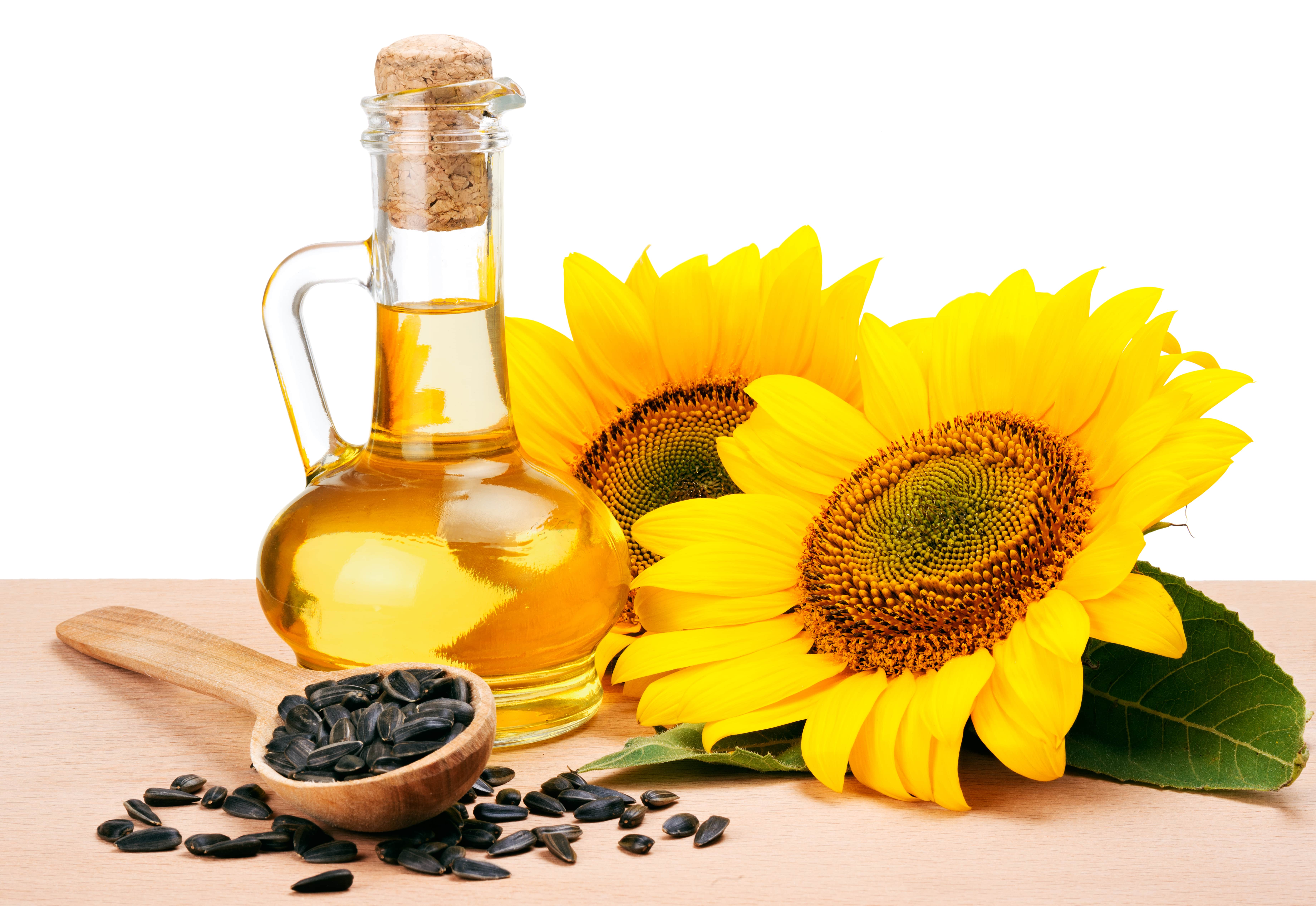 shutterstock_395677672-min.jpg