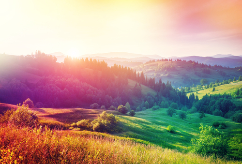 shutterstock_402149635.jpg
