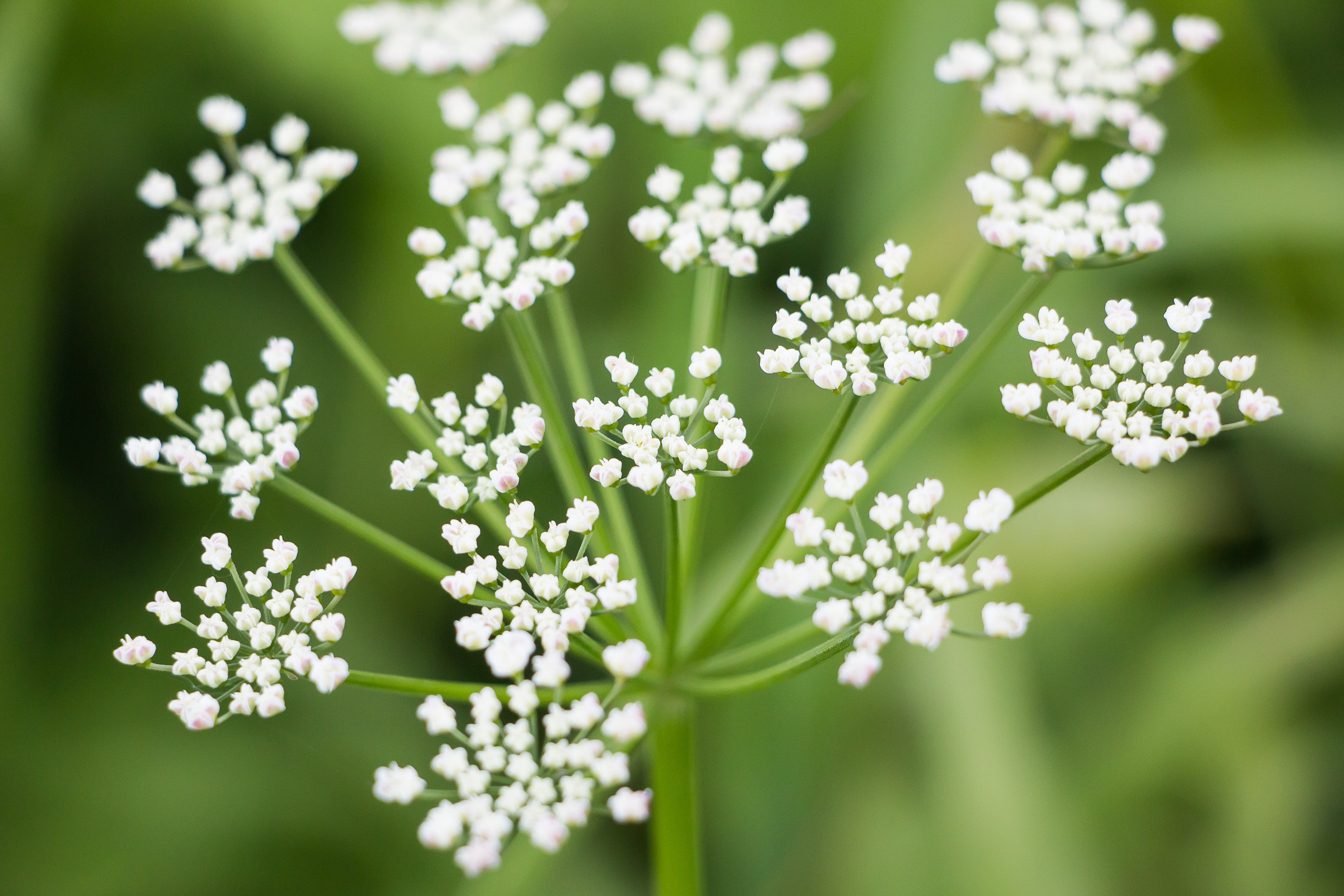 shutterstock_656754562-min.jpg